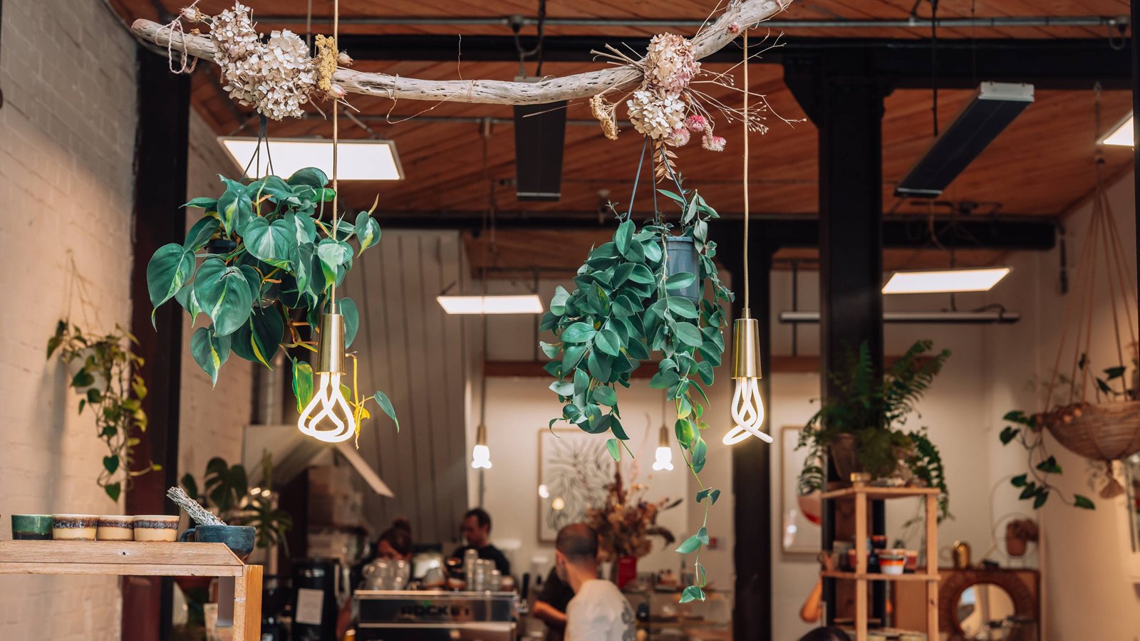 Hanging plants and exposed brick inside Sacred Grounds café