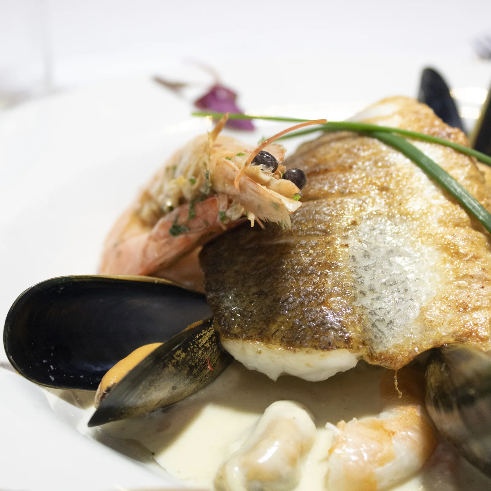 Fish, prawns and mussels plated for dinner