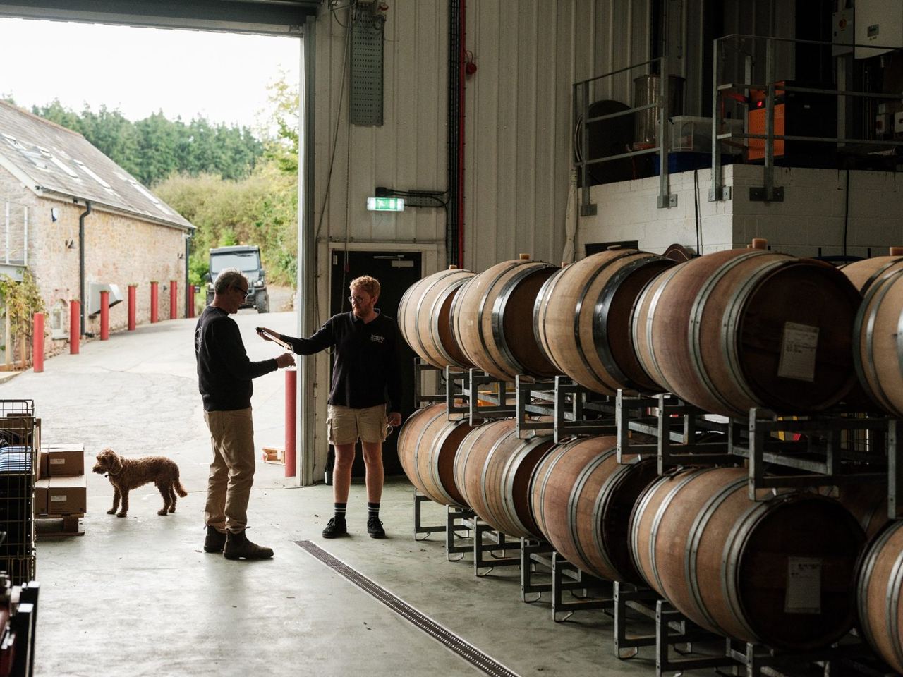 Visitors beside wine barrels in the winery