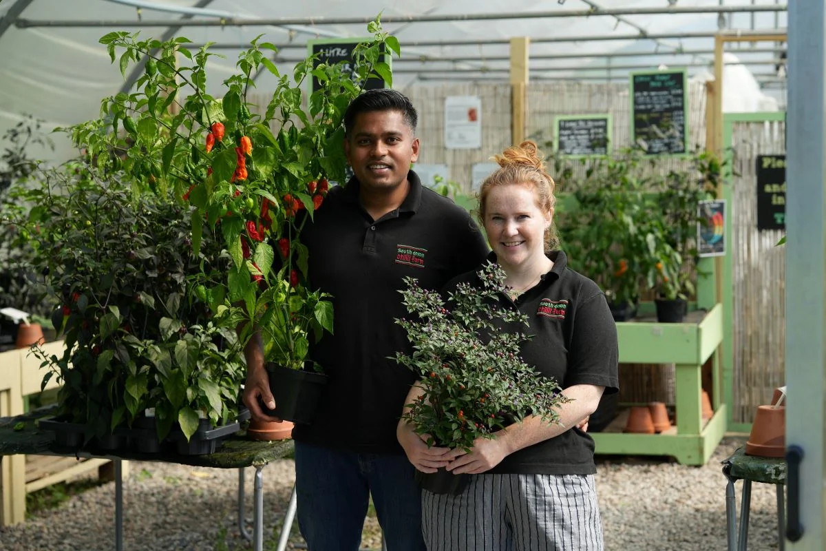 Two members of the farm team with potted chilli plants