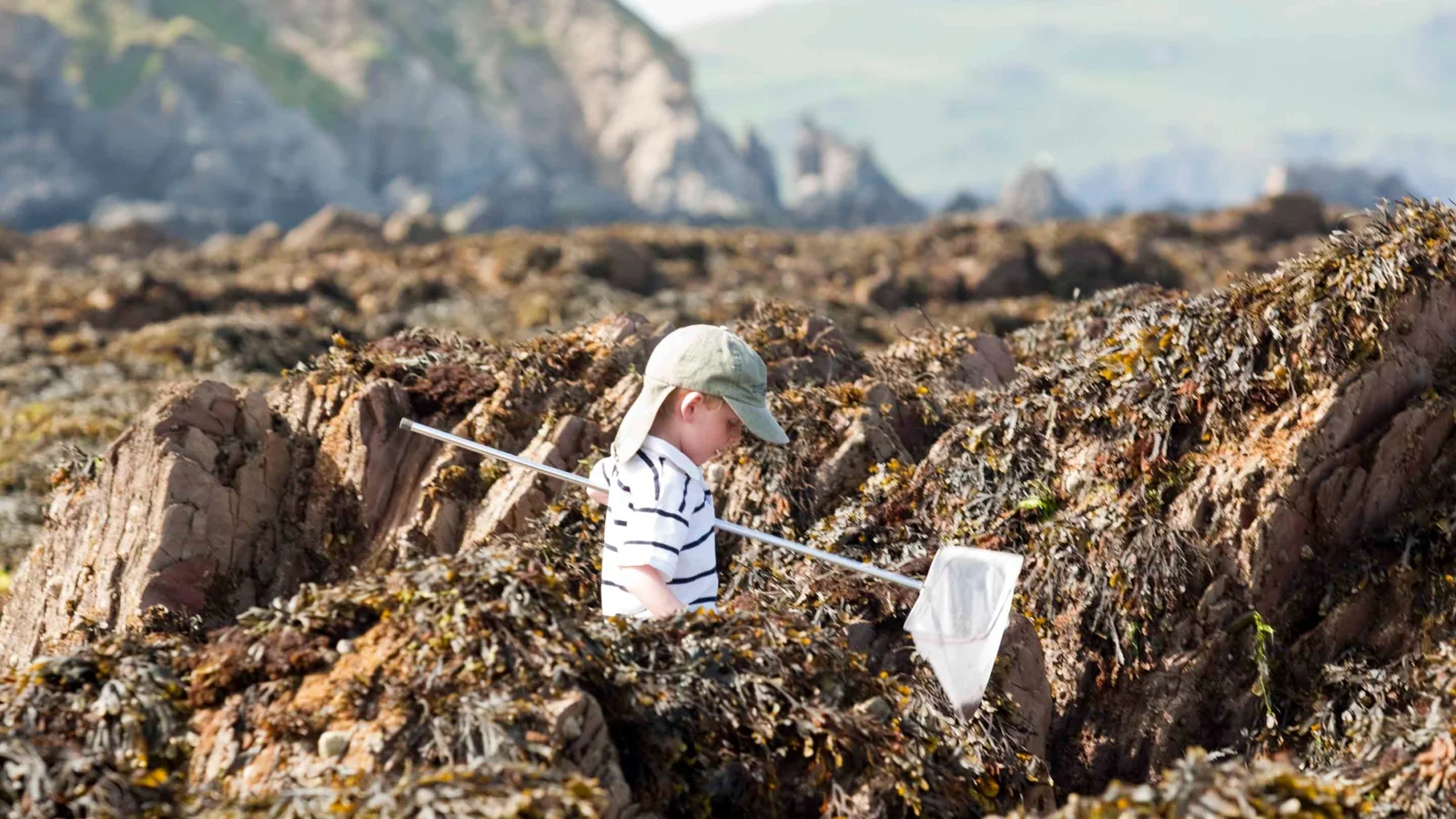 Child exploring rock pools with the offshore arch in the distance