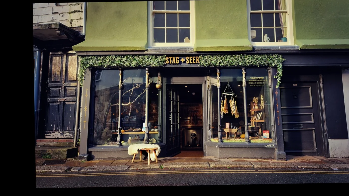 Plant-framed Stag + Seer shopfront on Totnes High Street