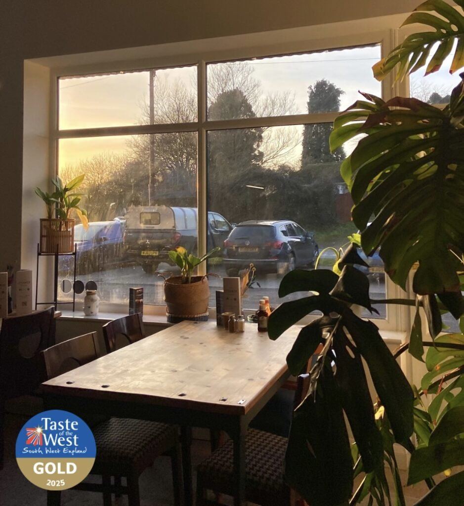 Sunlight across a window table and plants at The Steamer