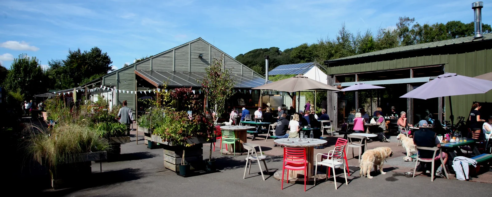 People seated under parasols in the Stokeley Farm Shop courtyard
