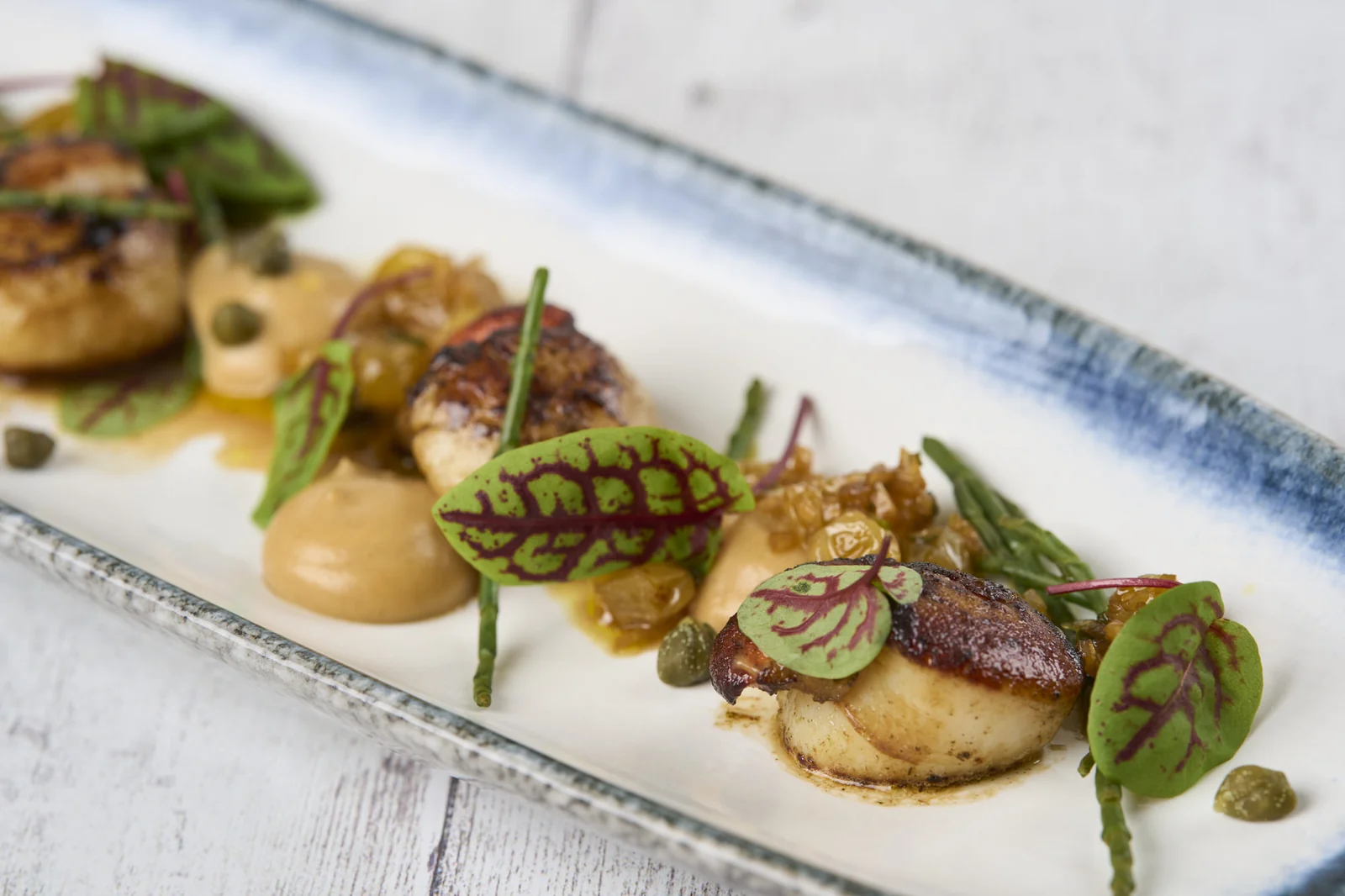 Seared scallops with garnishes on a long plate at The Cricket Inn