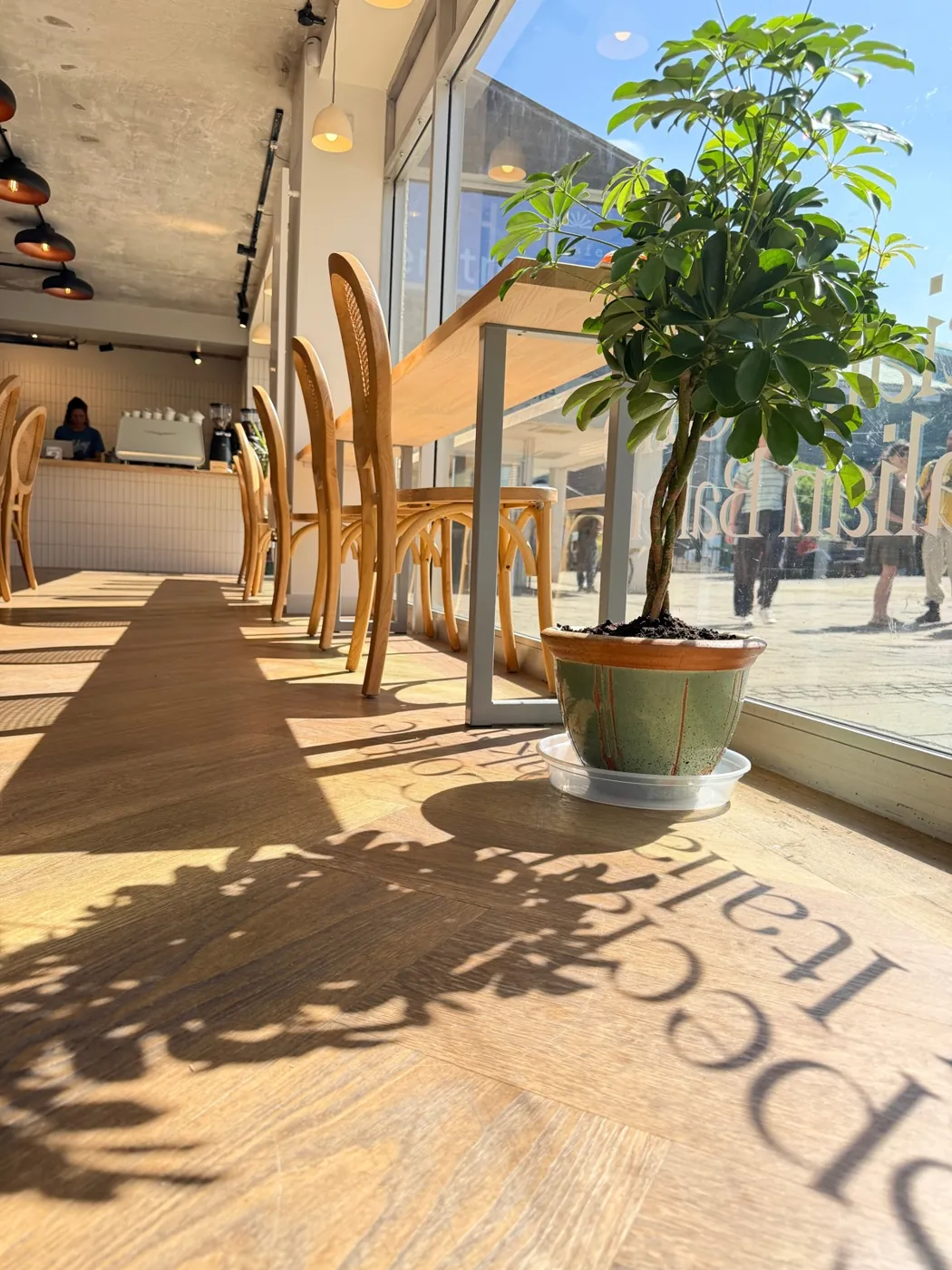 Sunlight across the floor and window seats at The Curator’s Square café