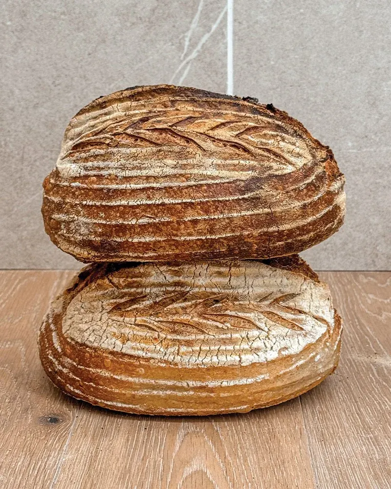Two round scored sourdough loaves at The Daily Knead