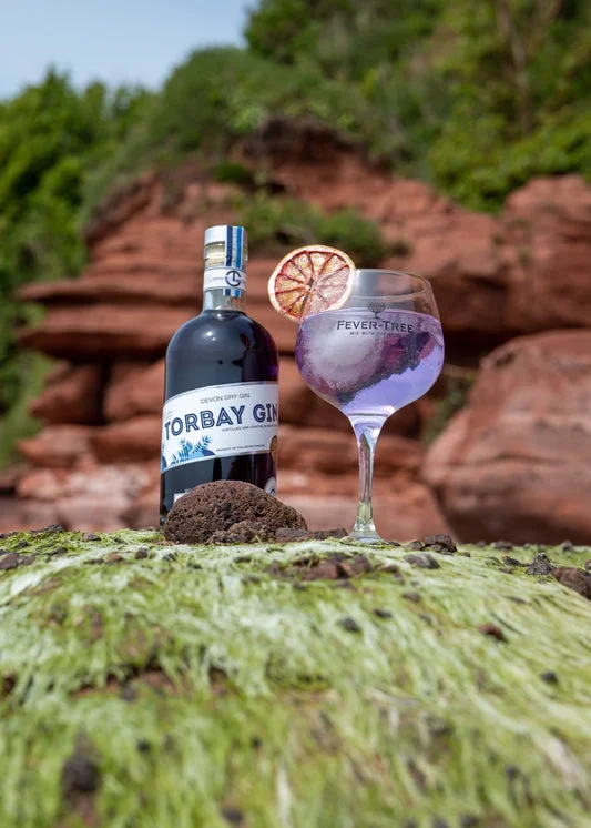 Torbay Gin and a served drink photographed beside coastal rocks