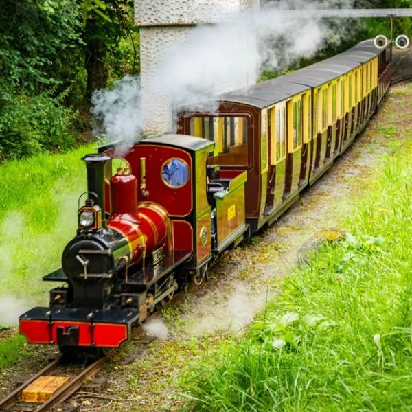 Miniature steam train crossing a green lawn