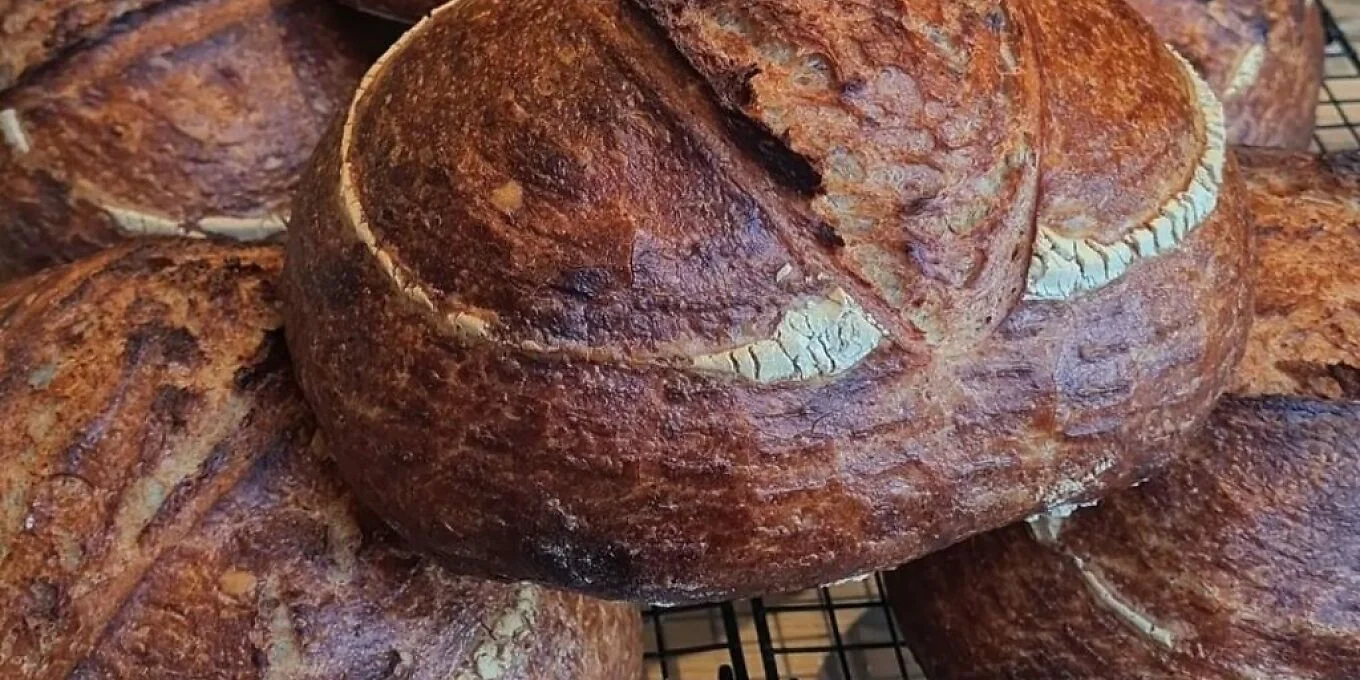 Freshly baked sourdough loaves cooling together